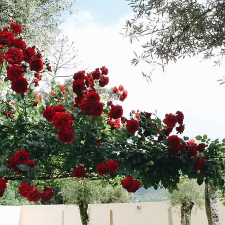 Eido Do Luou - Casa De Ferias Com Piscina (adults Only) *