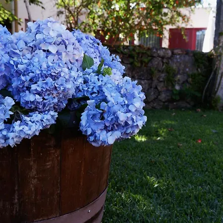 度假居 Eido Do Luou - Casa De Ferias Com Piscina (adults Only) *