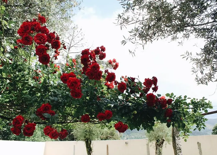 Eido Do Luou - Casa De Ferias Com Piscina (adults Only) *